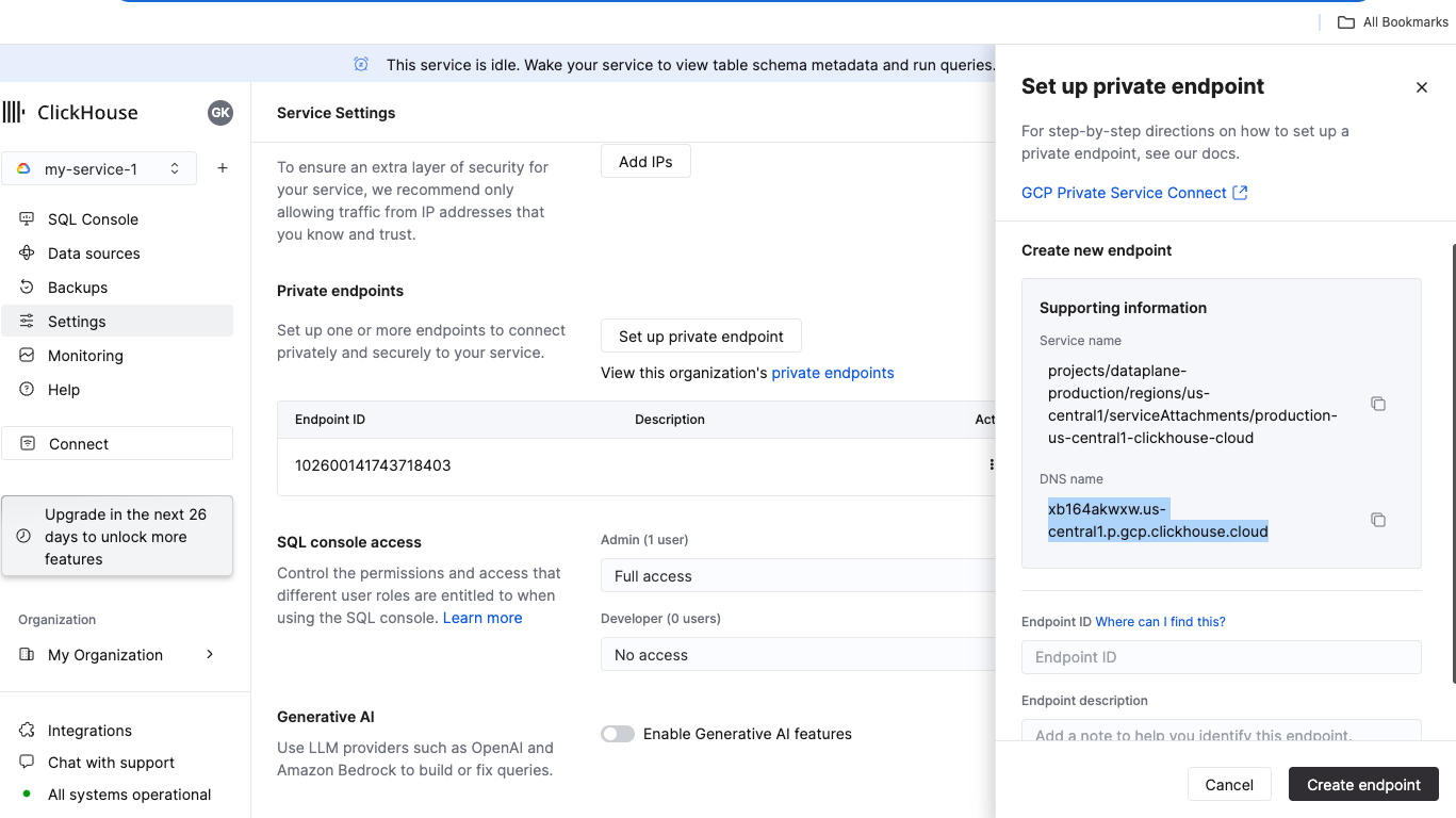 Private Endpoint DNS Name